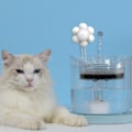Miniatyrbild 8 av 8: Kattfontänsensor Tyst Energisparande Automatisk Katt Vatten Dispenser IR Sensor för Husdjur Vattenfontän