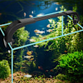 Miniatyrbillede 4 af 5: 10W LED Akvarielys Akvarium Vandplanter Dæmpbar Dyrkning