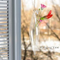 Miniatyrbild 5 av 5: Hängande Glasvas för Växter, Blommor, Hydroponisk Odling, Hem, Fest, Bröllop
