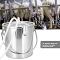 Miniatyrbilde 7 av 8: 3L justerbar motor melkemaskin vakuumpumpe rustfritt stål bøtte for sau 100-240VEU plugg