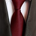 Miniatyrbild 3 av 5: Herr Solid Polyester Textil Slipsar Ren Färg Slipsar