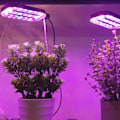 Miniatyrbild 7 av 7: Innovativ Odlinglösning, LED Växtlampa för Inomhusväxter, Automatisk Timer Bordslampa för Bekväm Växtvård