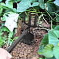 Miniatyrbild 2 av 8: Militär Bärbar Hopfällbar Spade, Överlevnads Multiverktyg för Dubbelanvändning Spade Gaffel Lättviktig Kompakt Transportabel Nödverktyg Utomhus