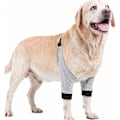 Miniatyrbild 2 av 5: Knäskydd för Hund, Andningsbart Tyg med Stabil Passform och Justerbart Spänne för Komfort, Mjukt Vadderat Armbågsskydd Högkvalitativt Material (1
