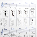 Miniatyrbild 4 av 8: Saxofon grepptabell Grundläggande guide Övning Jämförelsetabell Bärbar belagd papper