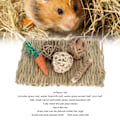 Pikkukuva 2 / 5: Hamsterin pureskelulelusetti käsin kudottu hampaiden hionta myrkytön lemmikkieläin Gr