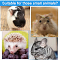 Miniatyrbild 4 av 5: Nödvändighet för husdjursälskare, Transparent hamsterlåda, Sidoingång underlättar lek och underhållning för dina små lurviga vänner, Ultralätt