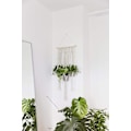 Miniatyrbild 2 av 5: Macrame tråd blomkruka dekoration - Boho väggdekor blomkruka hängande korg hem bomullsrep för inomhus- och utomhusbruk