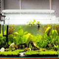 Miniatyrbillede 4 af 5: EU-stik 200-240V 4W Highlight LED-lyslampe med beslag til Aq