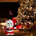 Miniatyrbild 5 av 5: Jultomtekostym för hund och katt, husdjurskläder