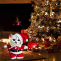 Miniatyrbillede 4 af 5: Julemandskostume til hund og kat, tøj til kæledyr