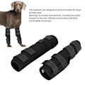 Miniatyrbilde 8 av 8: 1 par neopren hundebeskytter for ledd, beskyttelse mot leddgikt, skade, rehabilitering, pleie for hunderM