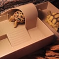 Miniatyrbild 5 av 5: Akvarium Sköldpadds Plattform, Lagun Ö Docka, Giftfritt Robust Material, Reptilskydd, Sköldpadds Solplattform, Perfekt För Vattenlevande Och