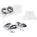 Miniatyrbild 6 av 6: Spinlock Lås För Träningsövningar, Halkfri Sexkantsmutter Snabb Låsning Utlovar Smidiga Träningspass, Tillverkade För 25 mm Standard Skivstänger