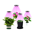 Miniatyrbild 1 av 7: Innovativ Odlinglösning, LED Växtlampa för Inomhusväxter, Automatisk Timer Bordslampa för Bekväm Växtvård