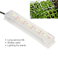 Miniatyrbillede 7 af 8: Akvarie LED-lys Lille USB Betta Fisktank Hvidt Lys til Indendørs Akvarieplanter