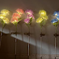 Miniatyrbilde 5 av 5: 2 Pakke Sol Dekklys LED Oppstikklys Bryggelys for