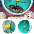 Miniatyrbild 3 av 8: Petest Hamsterhjul, Uppmuntra Hälsosam Motion, Tyst Snurra Med Sömlös Trepunktsspänne Design för Dvärghamstrar, Guldhamstrar