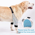 Miniatyrbild 5 av 5: Knäskydd för Hund, Andningsbart Tyg med Stabil Passform och Justerbart Spänne för Komfort, Mjukt Vadderat Armbågsskydd Högkvalitativt Material (1
