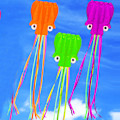 Miniatyrbilde 5 av 5: Programvare Octopus Flyer Kite med lang fargerik hale for barn, 4 meter myk blekksprut kite + 30 meter nuddelbrett