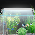 Miniatyrbillede 5 af 5: EU-stik 200-240V 4W Highlight LED-lyslampe med beslag til Aq