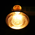 Miniatyrbillede 1 af 2: 1 stk. Gris Grisling Tyk Varmelampe Vandtæt Eksplosionssikker Pære Dot Overflade (175W)