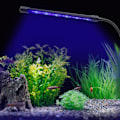 Miniatyrbillede 5 af 5: 7W LED Akvarielys Akvarium Vandplanter Dæmpbar Gro L