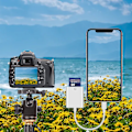 Miniatyrbild 6 av 7: Mfi-certifierad Lightning till SD-kort Kamera Reader, Åtelkameravisare med Formatteringsstöd, Höghastighetsöverföring och Plug and Play-funktionalitet,