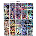Miniatyrbild 2 av 5: 20 st Nail Art Transfer Folie Stickers Leopard Nail Art Folie Transfer Roll Set Nail Wraps Sticker Kit