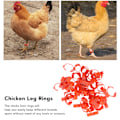Miniatyrbild 8 av 8: Anpassningsbara kycklingbensringar, infällbar design för flexibel användning, numrerade fågelfotringar för snabb identifiering, 50 st ljusa plastfjäderfäben