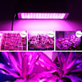 Miniatyrbild 1 av 5: 1200W LED Full Spectrum Växtlampa för inomhusväxthus