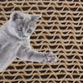 Miniatyrbild 2 av 8: Vikbar Dragspels-Katt Leksak: Interaktiv Klösbräda För Katt, Krypterad Korrugerad Papper Klösbräda Leksak, Stimulera Katters Intresse Och Skydda