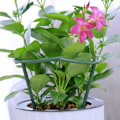 Miniatyrbild 3 av 7: Trädgårdsstöd Pinnar för Växter, Blomstertorn för Klätterväxter, DIY Trädgårdsstöd för Upprätt Tillväxt, Högkvalitativa Växtstöd i Plast för