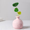 Miniatyrbild 1 av 5: Ikebana Vas Knopp Blomsterarrangemang Hydroponisk Macaron Färgglad Keramisk Dekorativ Vas (Rosa) Pink