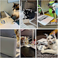 Miniatyrbild 3 av 5: Mini Dockskåpsleksak Laptop Spegel för Katt Husdjur, 16 Tum 18 Tum Dockor-Xin