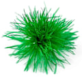 Miniatyrbild 1 av 5: Fjäderbrosch Scarfs Clip Smycken Accessoarer Damkläder Dekorationer-Xin Grass green