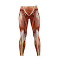 Miniatyrbilde 3 av 5: Høytaljede tights for kvinner med anatomisk muskeltrykk - Fitnessbukser med muskeltrykk - Pilatestights for jenter - Våristights - Xin 2XL