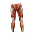 Miniatyrbild 2 av 5: Högmidjade Tights för Kvinnor Anatomiska Muskeltights Muskeltryckta Fitnessbyxor Tjejer Pilates Tights Vår Kvinnor-Xin XL
