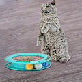 Miniatyrbild 2 av 5: Cat Scratching Toy Rund Cat Scratcher Board med boll Interaktiv leksak Träning Kattleksak för att flaxa, slå och jaga Gratis frakt