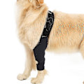 Miniatyrbilde 3 av 5: Hunde Recovery Sleeve Støttebandasje for For- og Bakben ved Skade, Forstuinger og Smertelindring X-Small