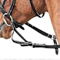 Pikkukuva 1 / 2: Shires Joustavat Nahkaiset Hevosen Ohjat Black Cob Full