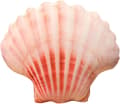 Sisustustyyny simpukka 20x15cm (JJ)
