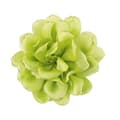Romantisk rosbrosch med tygros, grön green