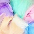 Miniatyrbild 2 av 4: Soft Fluffy Plume 100pcs 4-8cm Floating Goose Feather DIY Small Feathers Festival Party DIY Craft Wedding Decoration