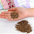 Miniatyrbild 2 av 11: KKOL 10-pack Doftpåsar för Lådor och Garderober Lavender 18*11.5cm 10pcs