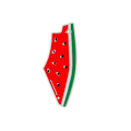 Miniatyrbild 1 av 11: Vattenmelon Emalj Pin Vattenmelon Palestina Pin | Kuffiyeh Pin| Gratis Palest style1 One size