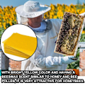 Miniatyrbild 3 av 11: 30 st Honeycomb-Foundation Vaxkakor Bikupa Vaxning Biodling Utr ExP