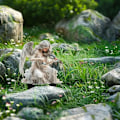 Miniatyrbild 11 av 11: Bohemisk Fé Blomkruka Dekoration Fé Planteringskrukor Fé Blomma `AU. BlackE E
