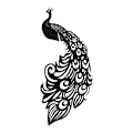 Pikkukuva 1 / 5: 40 KPL Riikinkukko Viinilasikortti / Hääpöydän Koriste / Luova Black 40 PCS