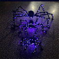 Miniatyrbillede 5 af 5: Halloween Edderkoppespind Dekorationer Lysende Kæmpe Edderkop Indretning 30cm